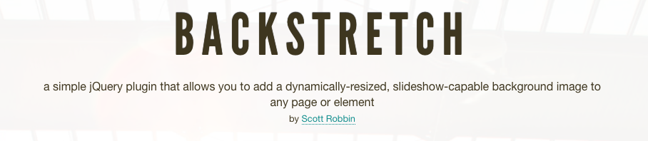 Backstretch Logo Typografie
