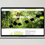 Kletterwald Regensburg Webdesign Macbook Mockup