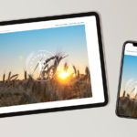 escherich iphone tablet mockup