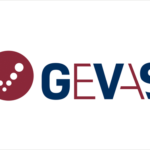 Gevas Logo bunt auf weiß